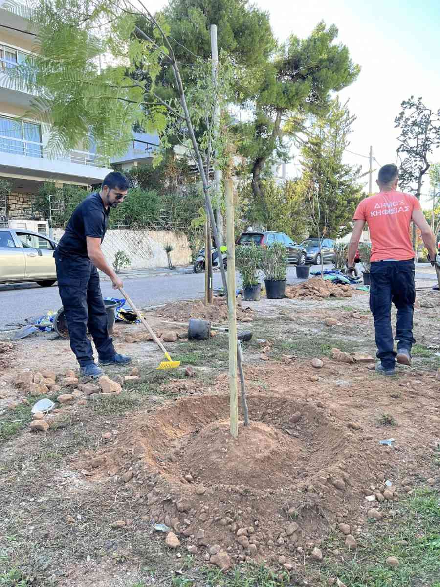 ΤΟ ΕΝΤΥΠΩΣΙΑΚΟ ΣΙΝΤΡΙΒΑΝΙ ΤΟΥ ΑΛΣΟΥΣ ΚΗΦΙΣΙΑΣ